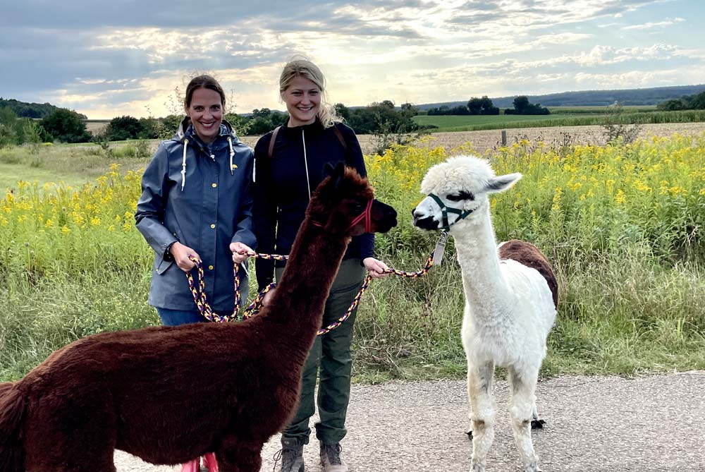 Alpaka-Wanderung bei Kelheim - Staubing