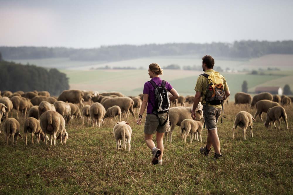 Wanderung auf dem Jurasteig bei Riedenburg