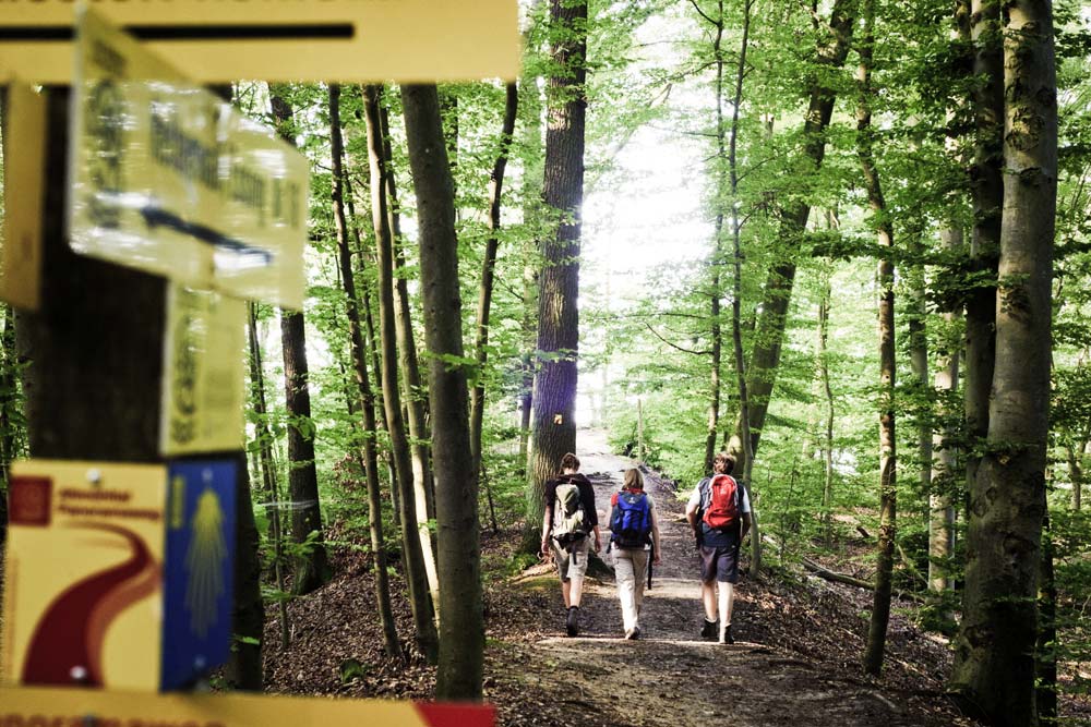 Wanderung in der Weltenburger Enge bei Kelheim